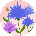 Jordan Merino profile picture